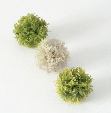 Decorative Greenery Moss Orb Box of 3 Jen's Pot Shop