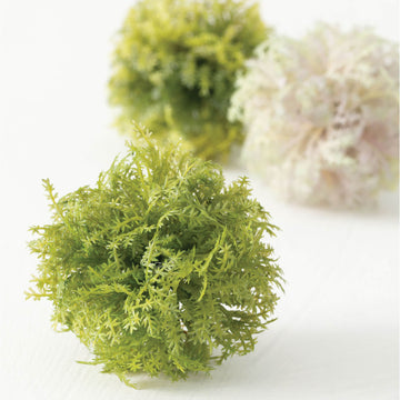 Decorative Greenery Moss Orb Box of 3