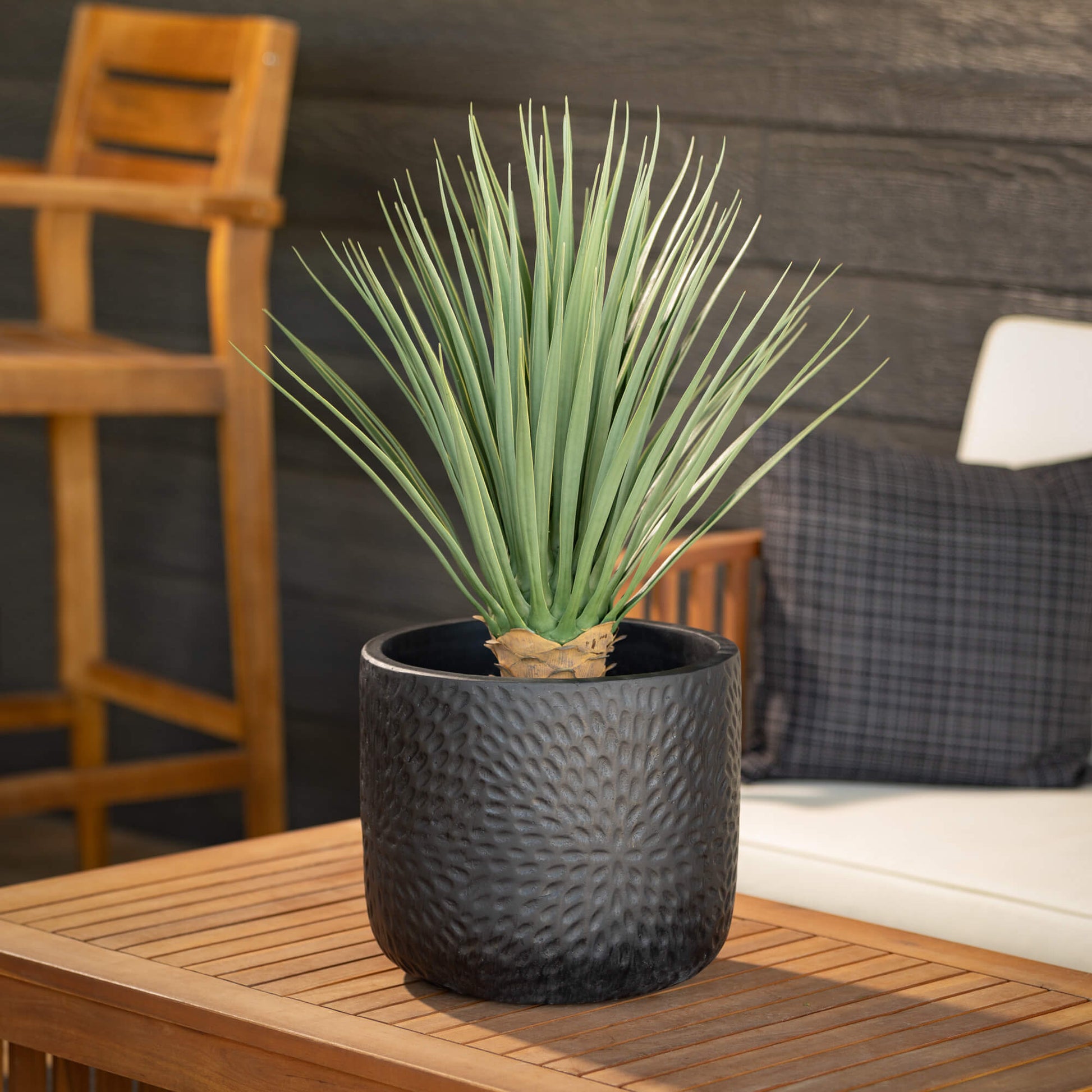 Contempo Textured Black Cement Planter Pot Set Jen's Pot Shop