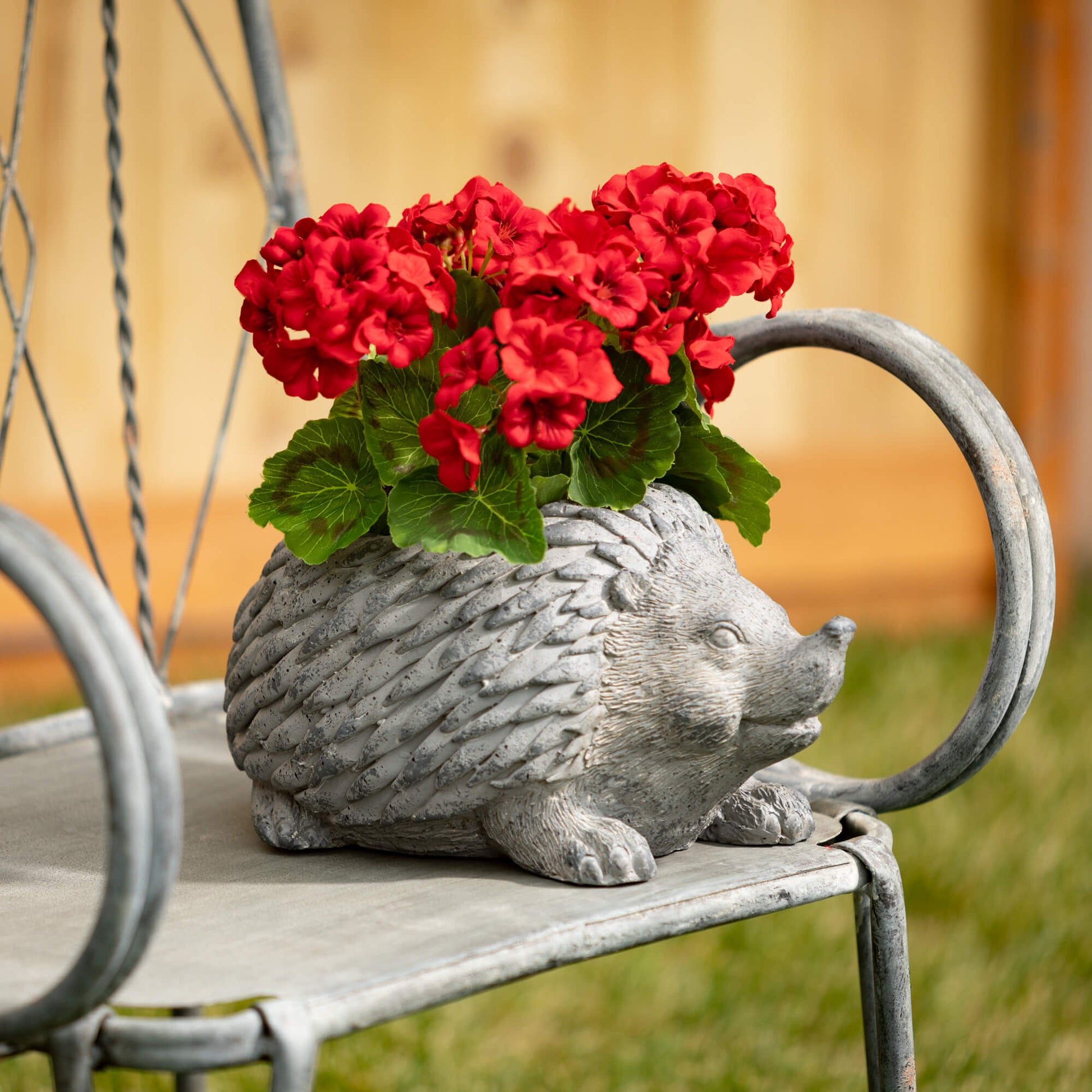 Charcoal Resin Garden Hedgehog Planter Pot Jen's Pot Shop