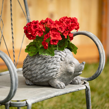 Stoner Hedgehog Resin Garden Planter Pet